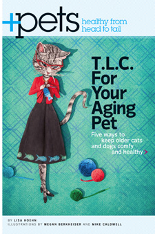 Sassy Cat tearsheet