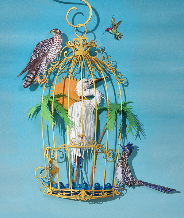 Birds Of A Feather