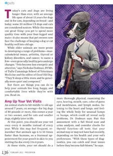 Dapper Dog tearsheet