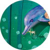 Dolphin Ride
