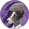 Dapper Dog