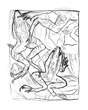Frogs