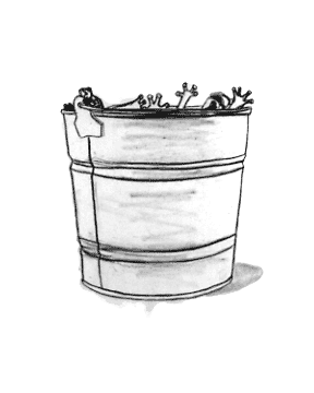 Frogs